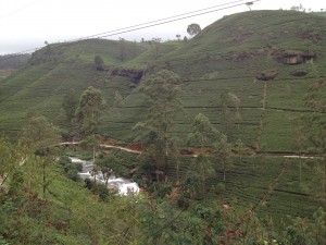 nuwara eliya 006