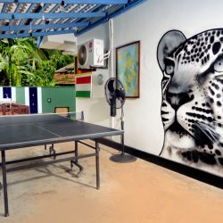 pingpong