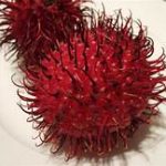 rambutan